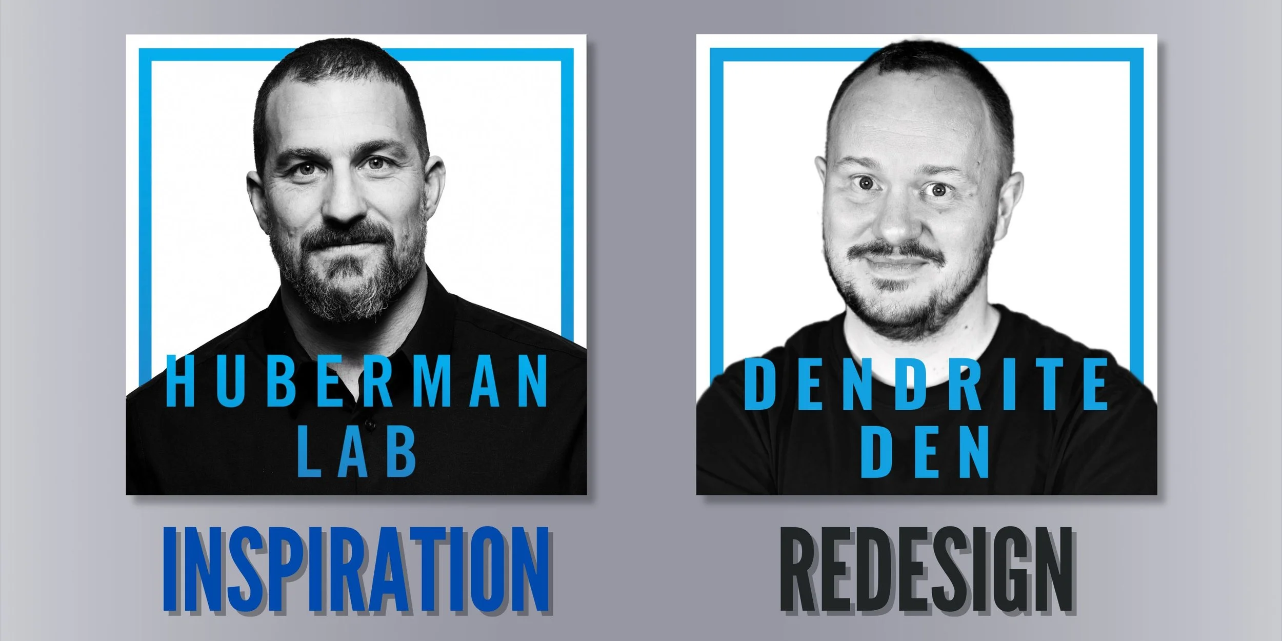 DESIGN EXERCISE 5: Huberman Lab, original studio demonstration