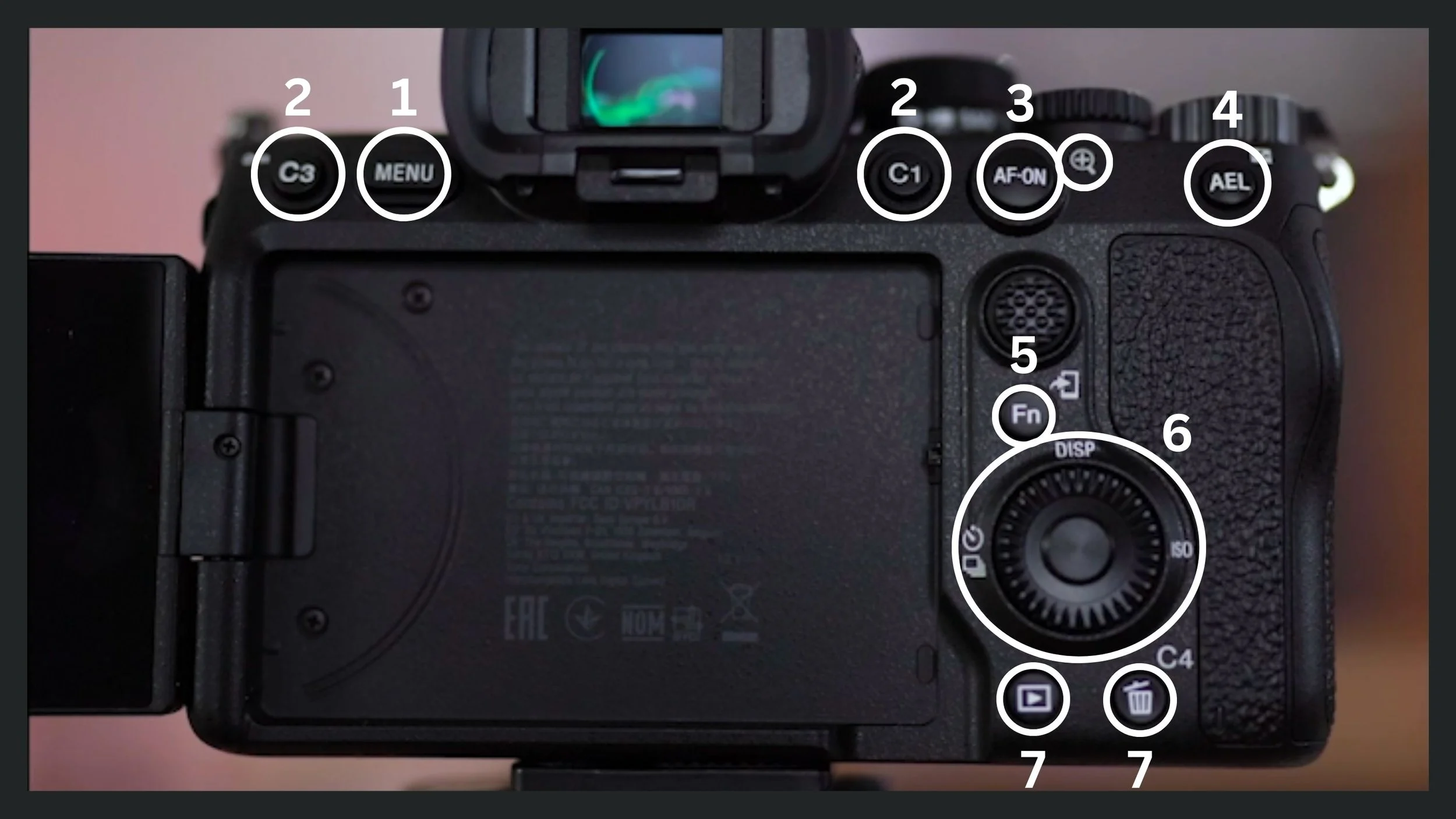 Buttons On the Back of the Camera, Sony A7 Mark IV, original studio demonstration